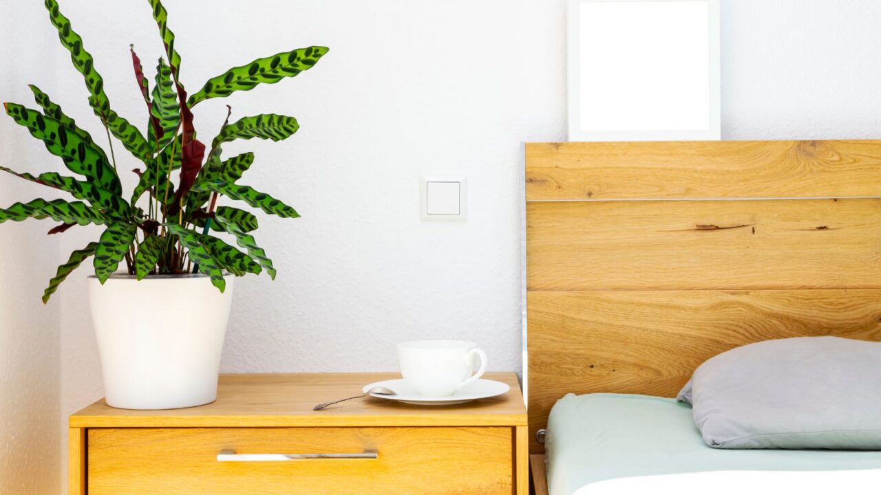 A bedroom interior with a wooden bed and a potted plant on the bedside table.