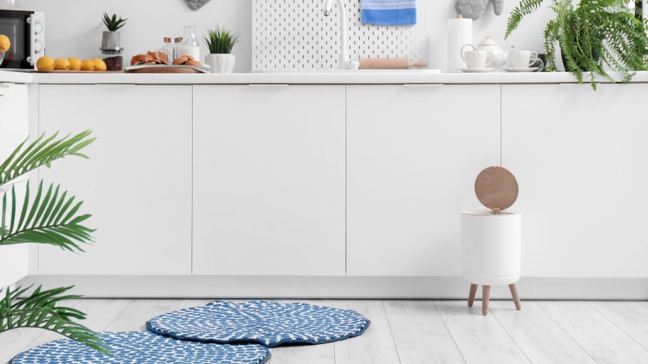 A stylish kitchen interior with white cabinets, plants, rugs, and kitchen accessories.