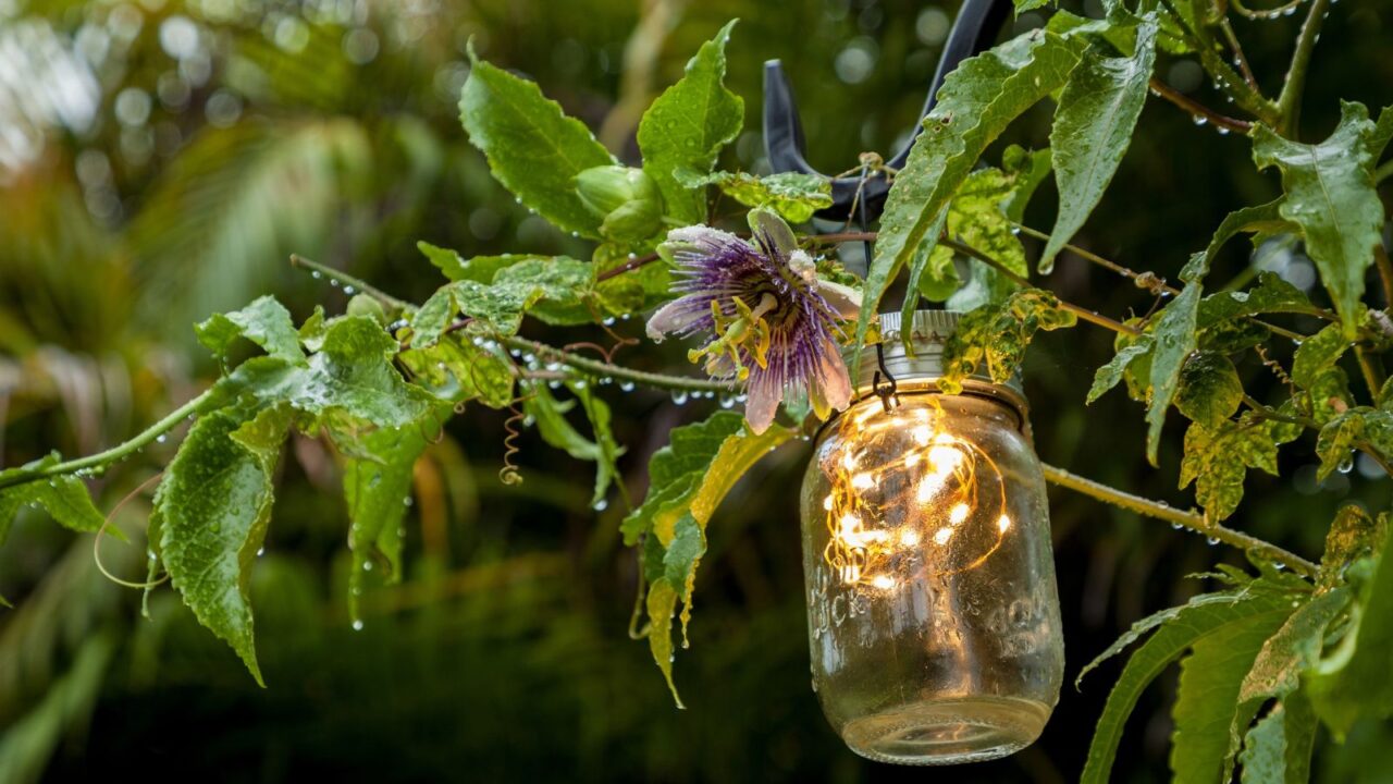 A mason jar filled with fairy lights hanging from the tree.