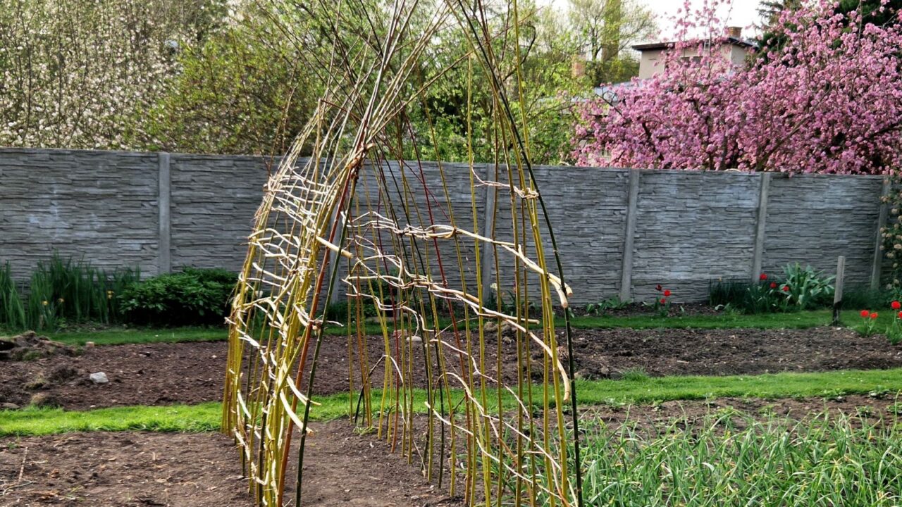 A trellis made from twigs tied together in a garden.