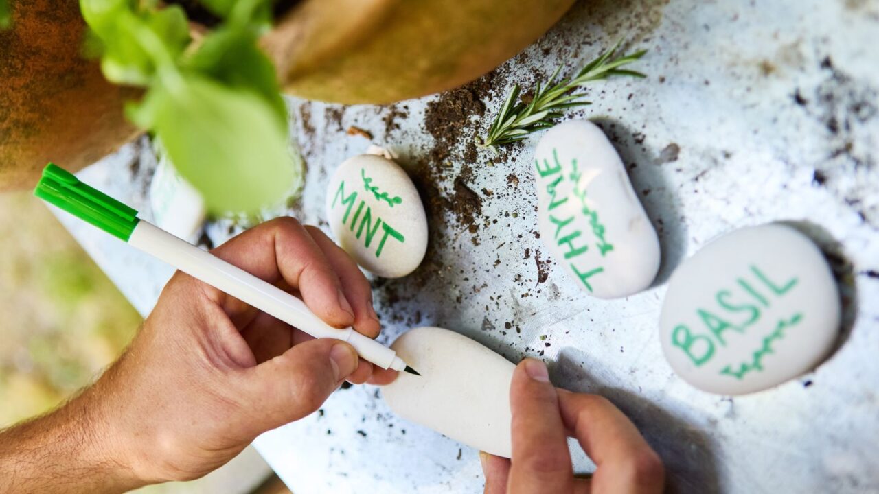 A person making DIY garden markers using white paint and green marker.