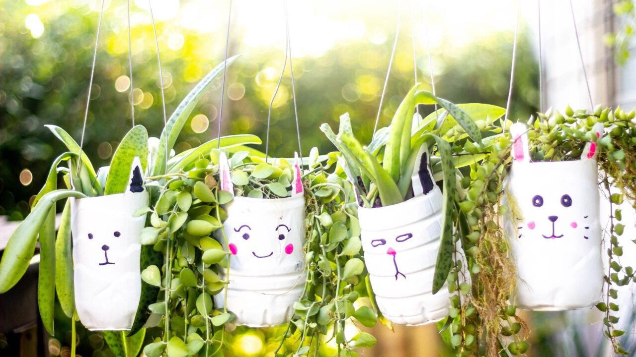 DIY hanging planters made using recycled water bottles.