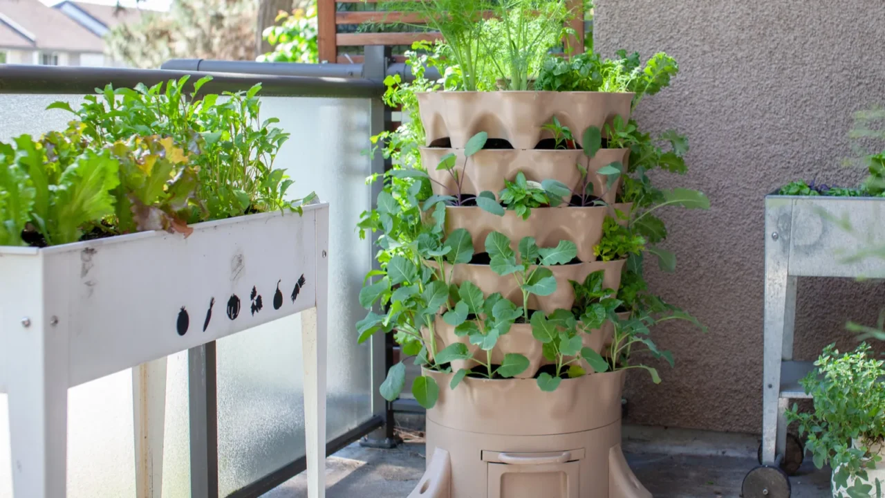 a tall vertical garden sits on an apartment balcony patio