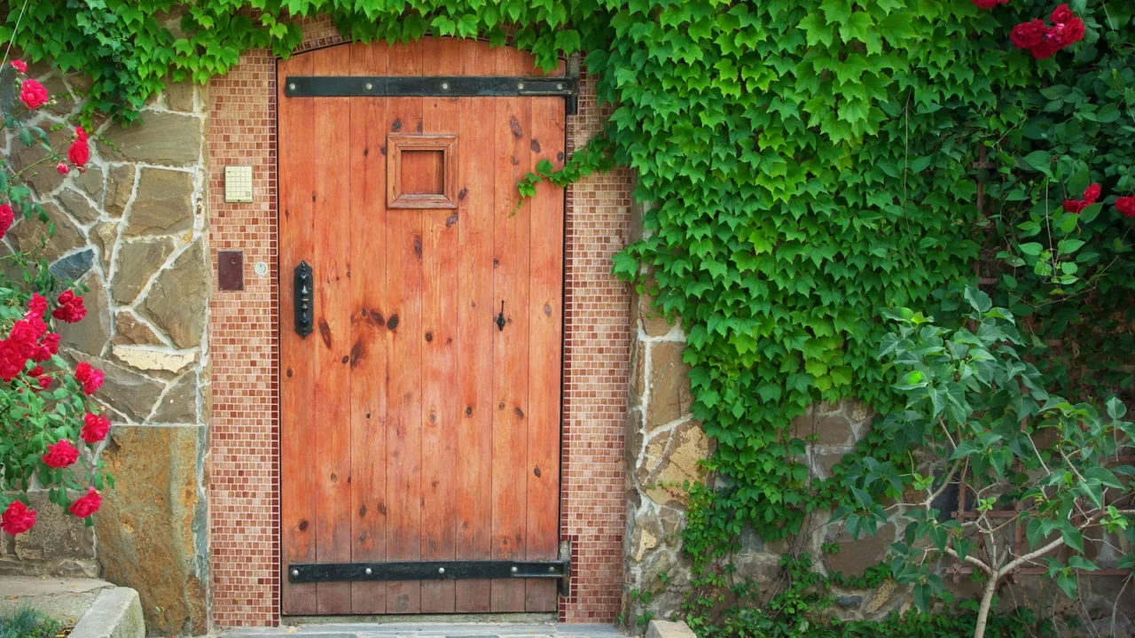 beautiful door