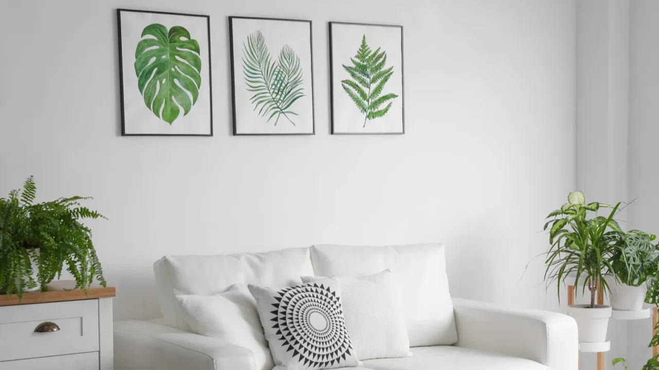 beautiful paintings of tropical leaves over sofa in living room