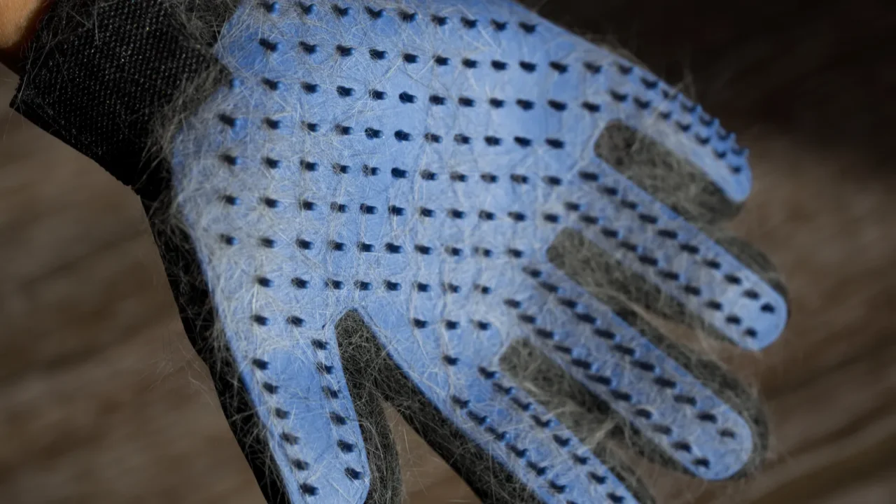 blue glove with cat or dog hair on the hardwood