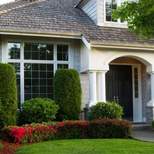Low-Effort Ways to Go Greener at Home