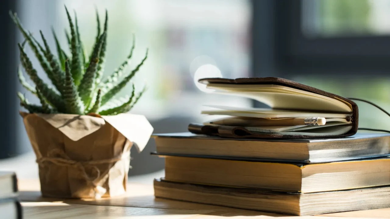 closeup view of books notebook with pencil and potted plant