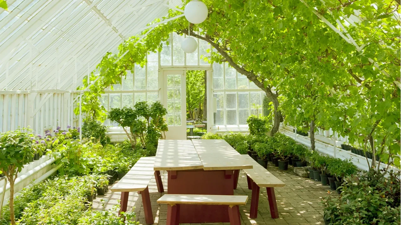 cosy conservatory greenhouse