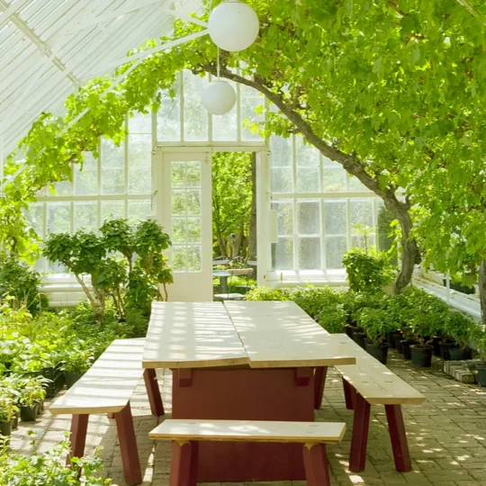 Brilliant Ideas to Style Indoor Greenhouses