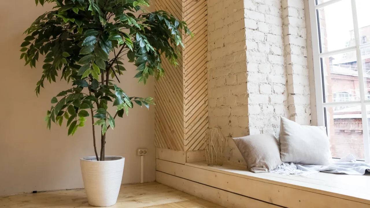 empty joga center interior with big windows and wooden floor