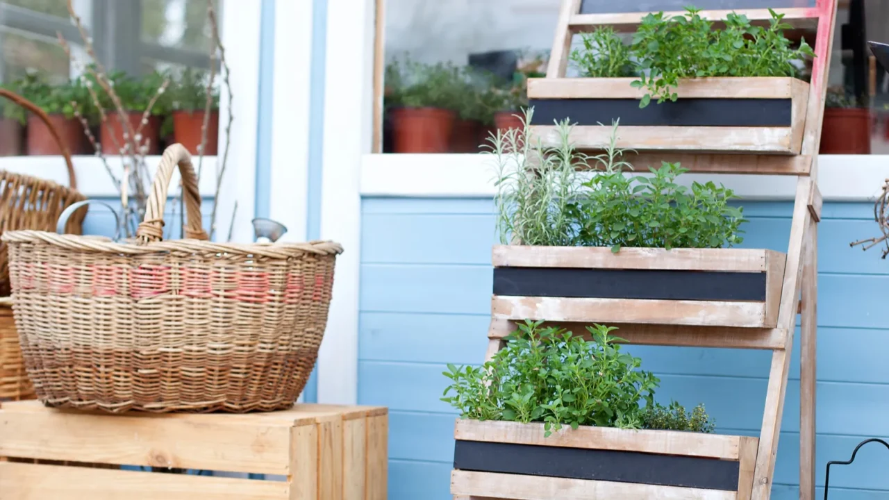 gardening spring garden growing plants in pots wicker baskets next