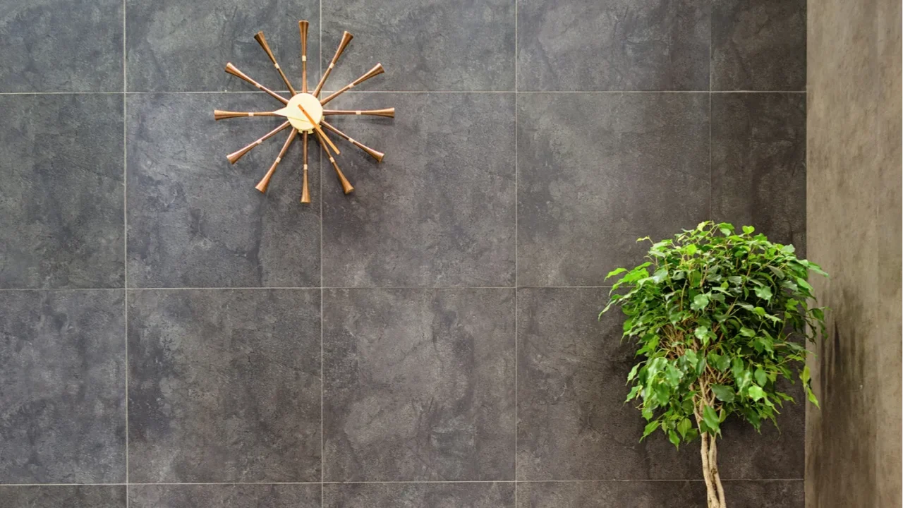 modern loftstyle interior with porcelain stoneware tile and ficus benjamin