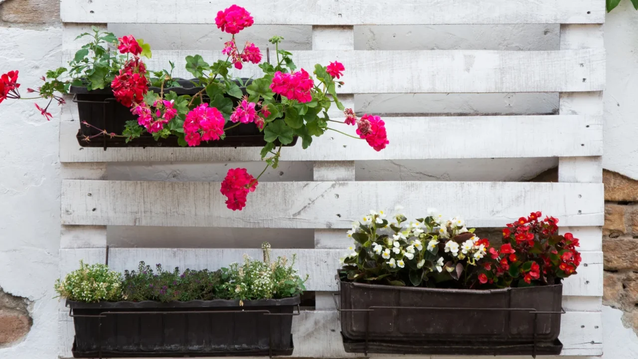 pallet ideas for gardening