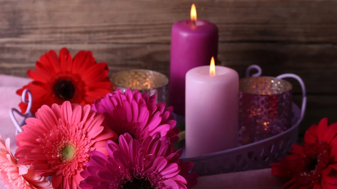 still life with beautiful bright gerbera flowers