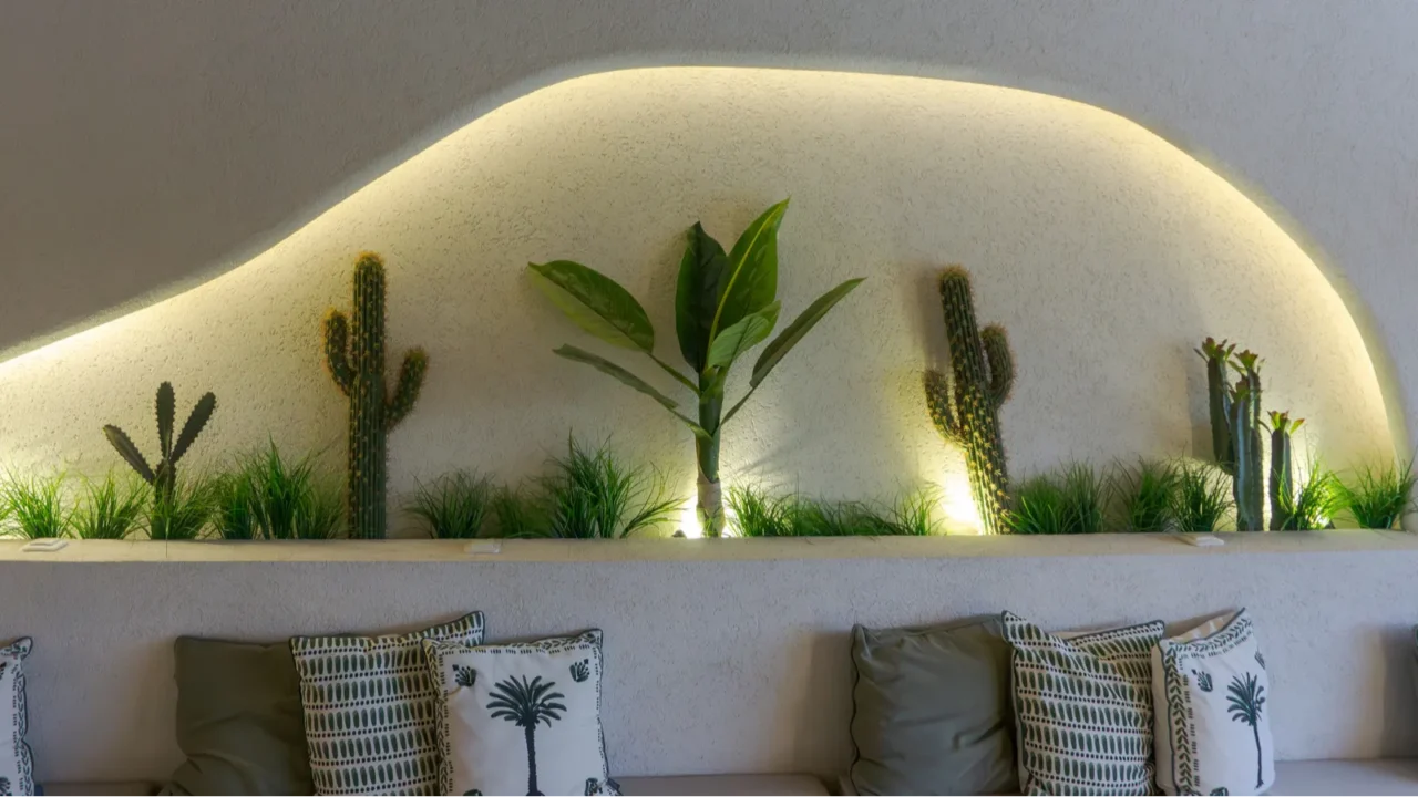 stylish decor cacti and plant accent living wall niche curved