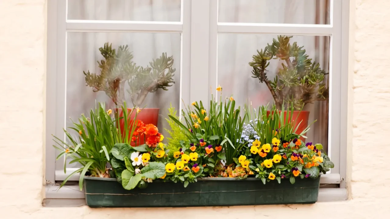 window with spring flowers