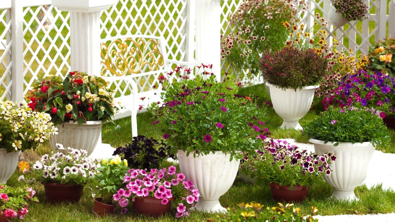 A wall-mounted arrangement of succulents alongside birdhouses in a garden.