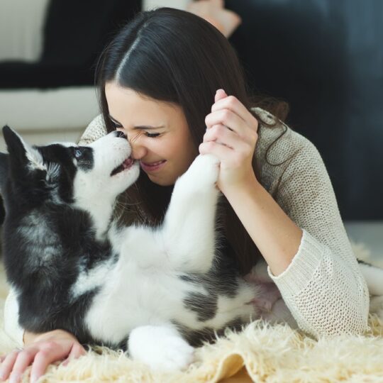 Are Plush Carpets Ruining Your Allergy Control?