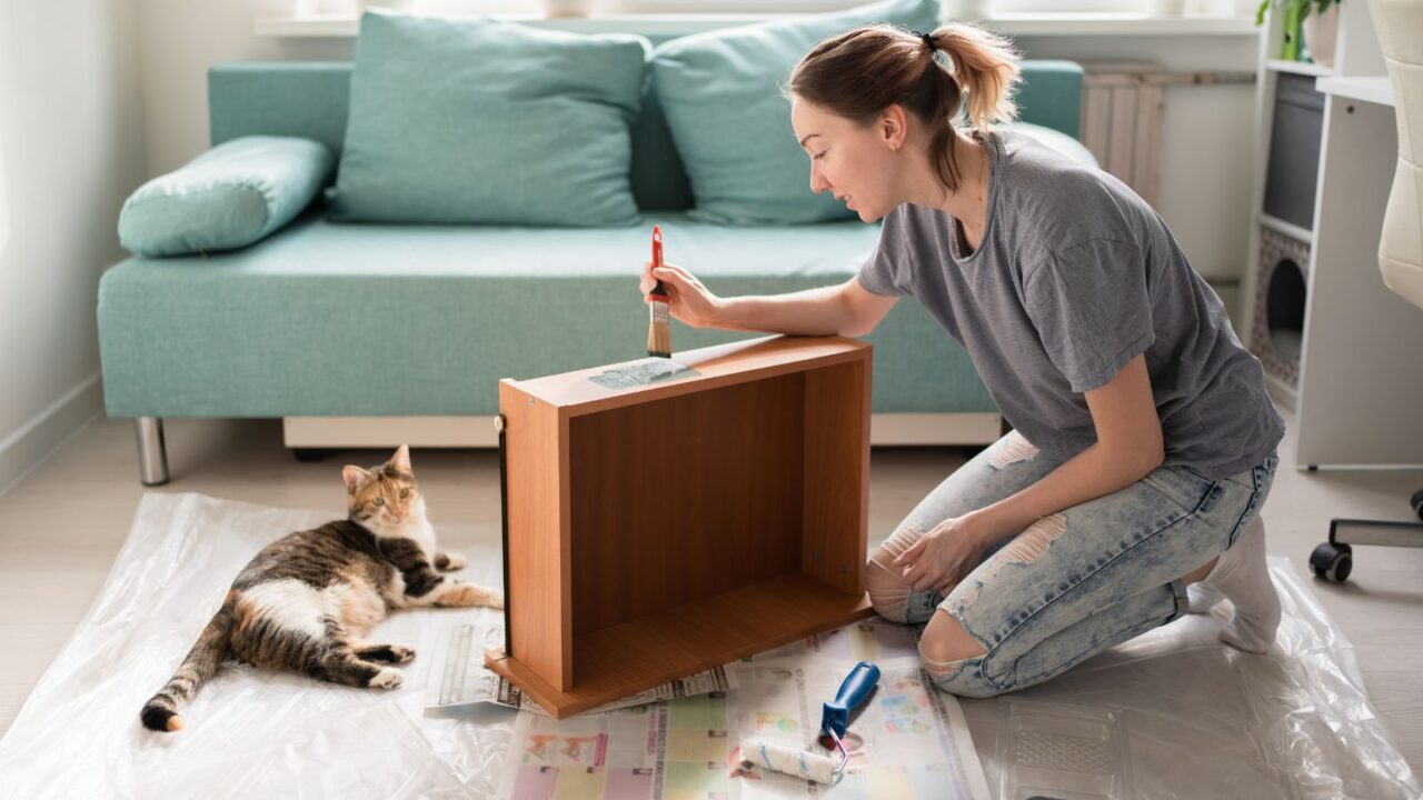 A woman painting a drawer and a cat lying nearby.