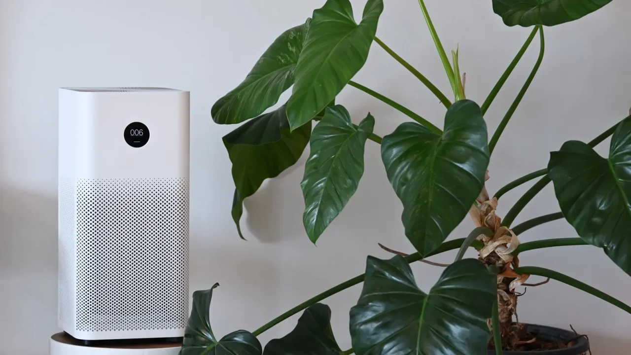 air purifier and houseplant in living room for fresh air