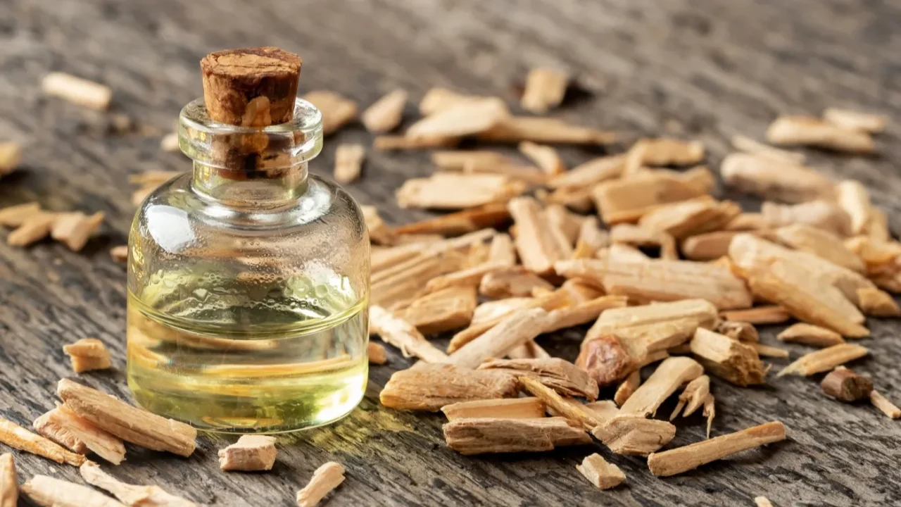 bottles of essential oil with cedar wood chips