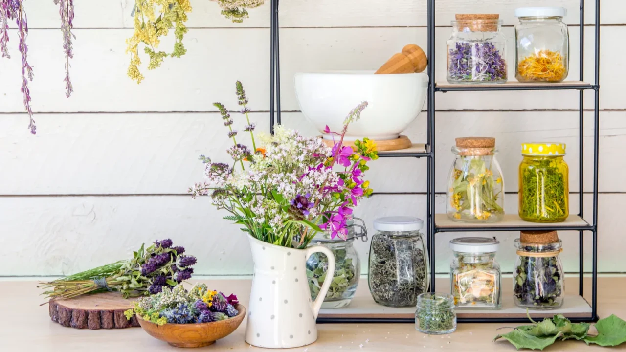 collection of various herbal medicinal plants dry in glass jars