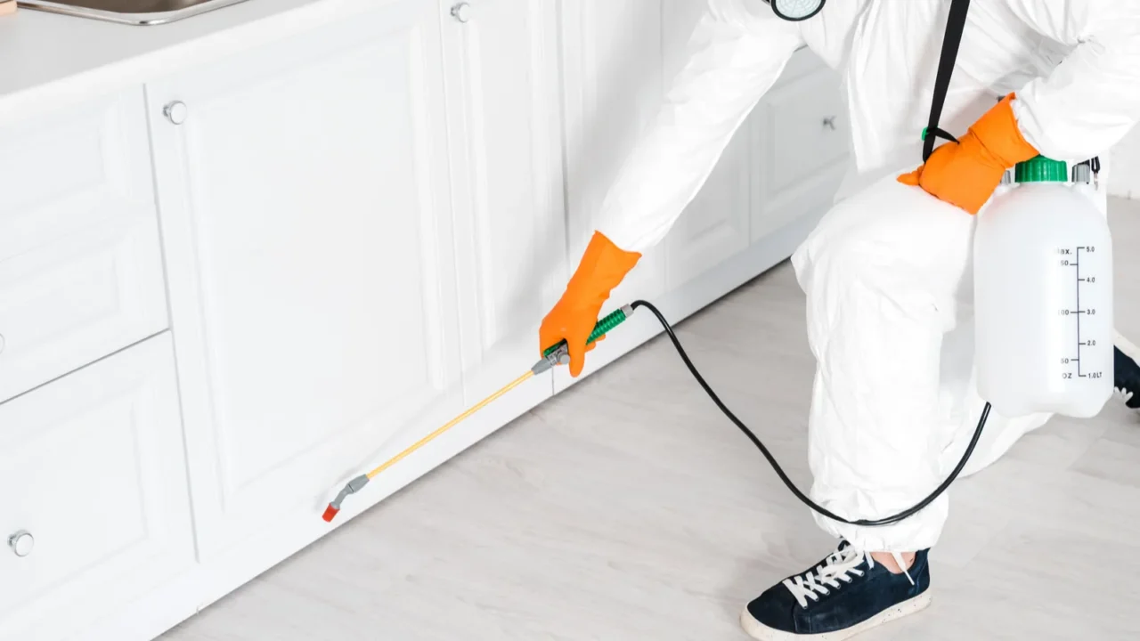 exterminator holding toxic equipment near kitchen cabinet