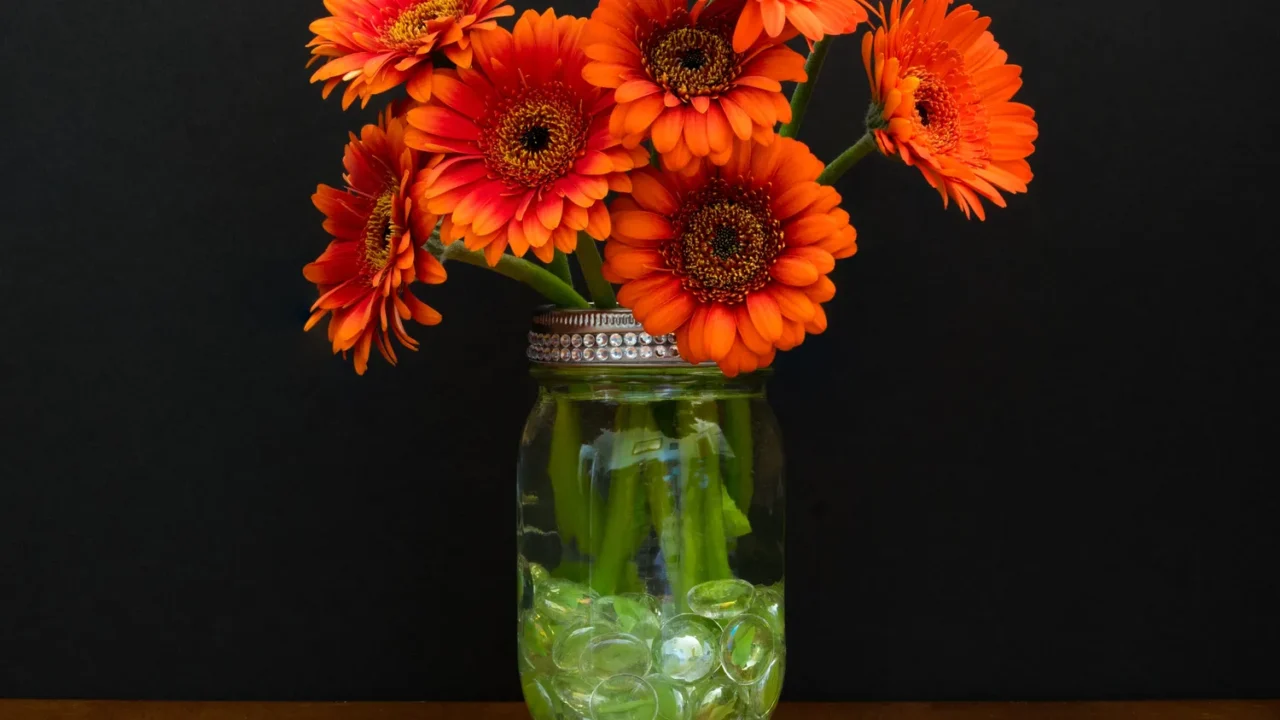 glass vase holds burnt orange daisies