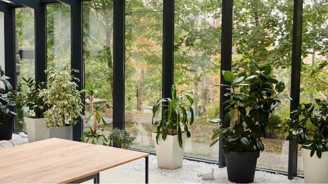 A sunlit room filled with various indoor plants and a wooden table next to large windows.