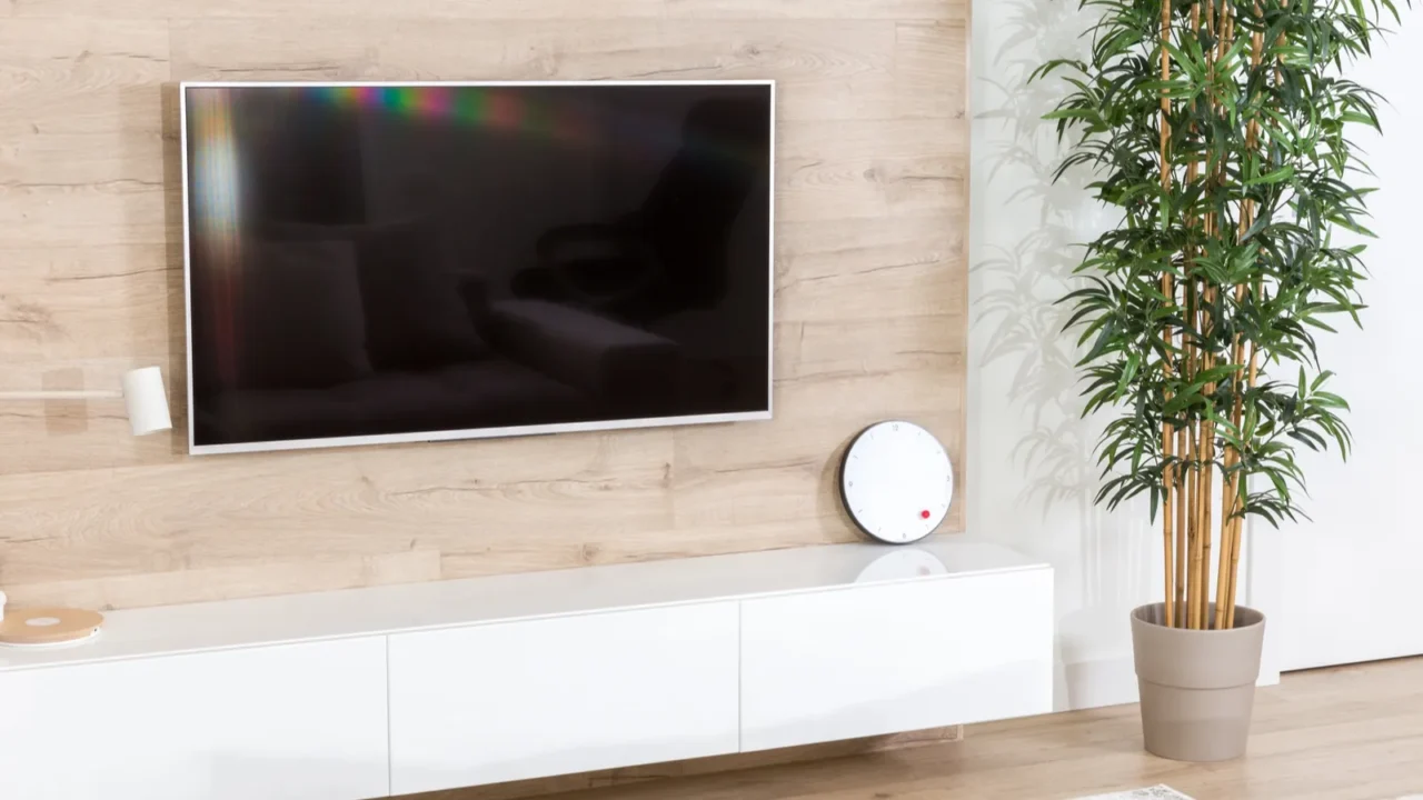 A living room with a mounted TV, wooden wall paneling, and a tall plant in a pot.