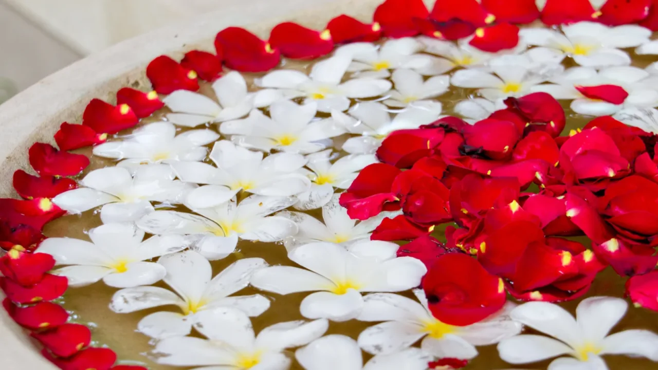 plumeria and rose petals