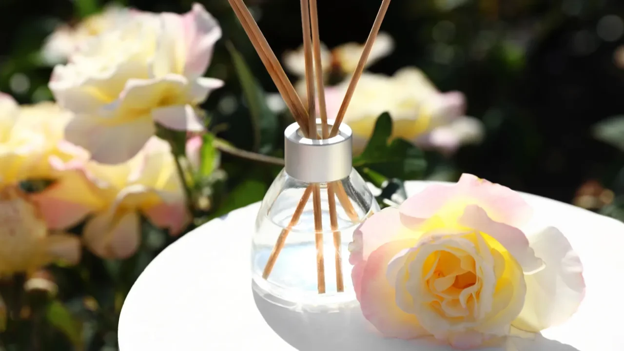 reed air freshener with oil and fresh rose on table