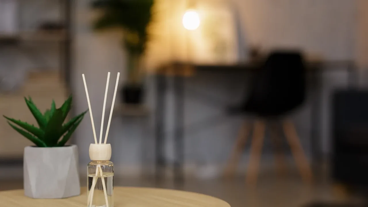 reed diffuser and house plant on the table in living