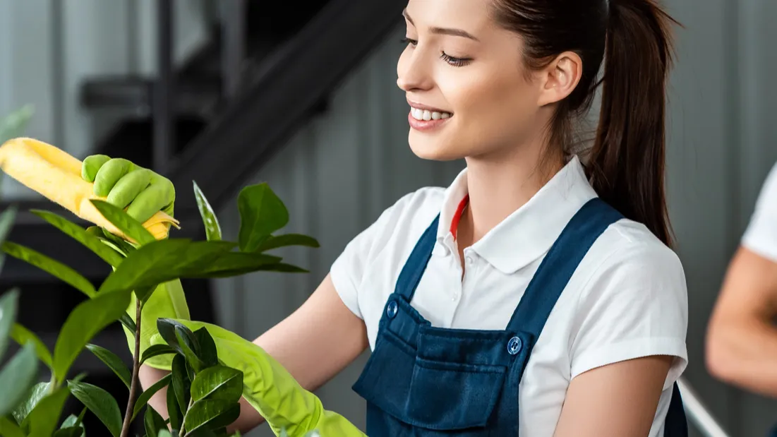 selective focus of smiling cleaner wiping plants while colleagues working