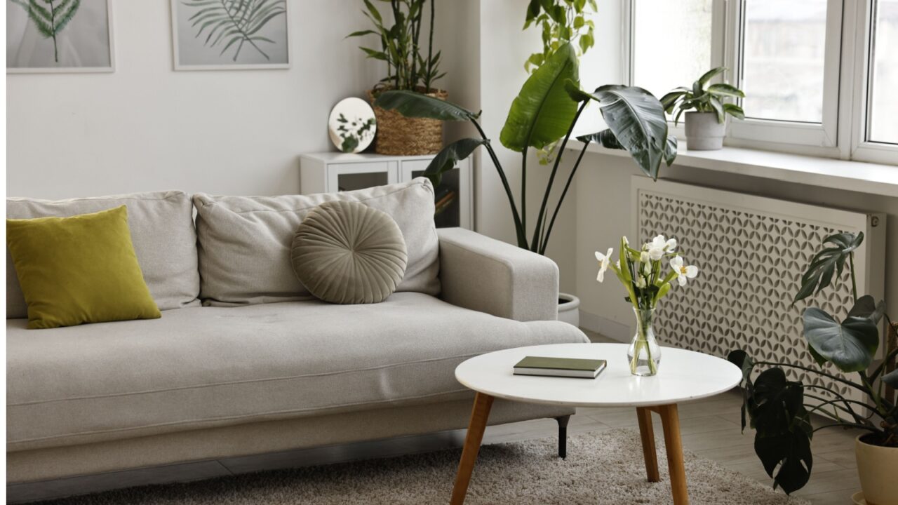 A living room interior with sofa, coffee table, rug, and potted plants on the floor and windowsill.