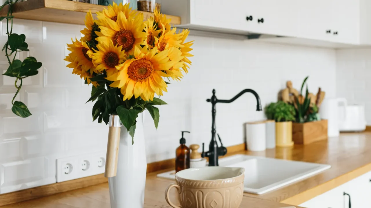 dishes and utensils on kitchen table ready to cook white