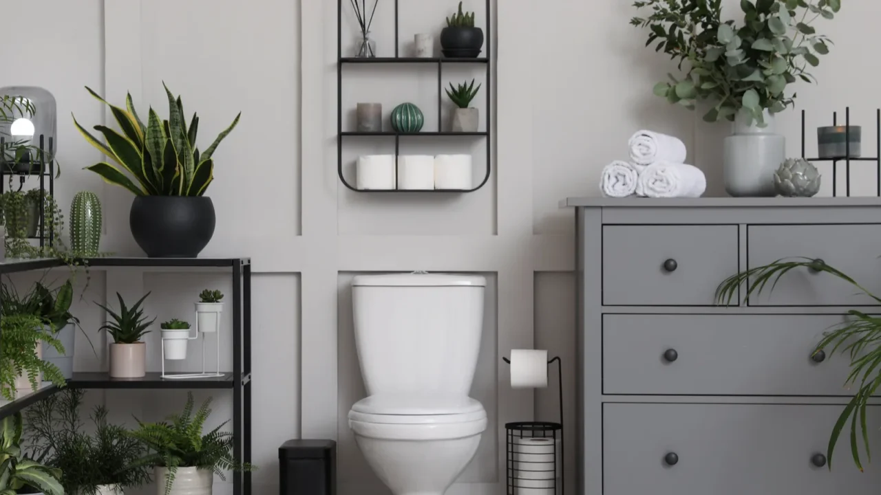 stylish bathroom interior with toilet bowl and many beautiful houseplants