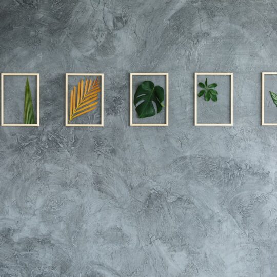 Gallery Wall Ideas to Showcase Your Art Collection