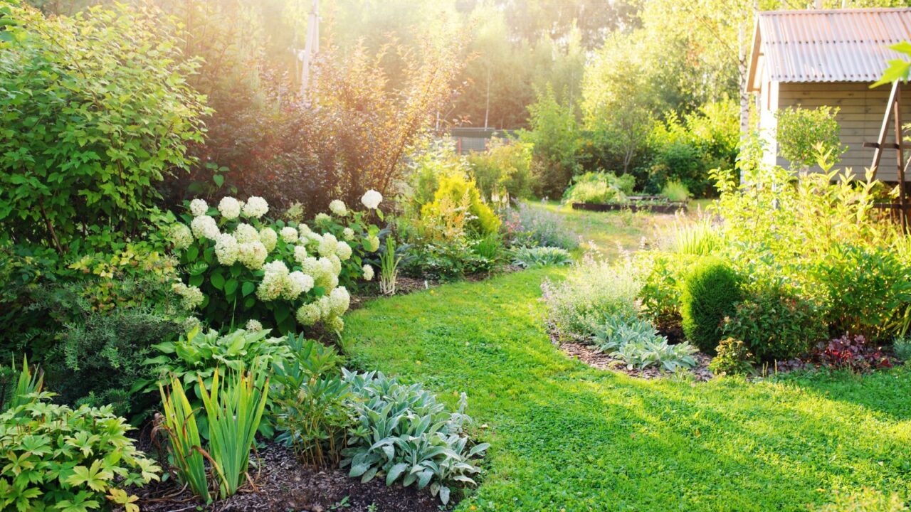 A beautiful garden with blooming flowers and greenery.