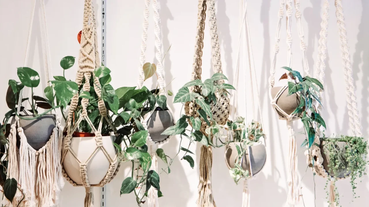 a row of hanging plants in bonehmian boho macrame plant