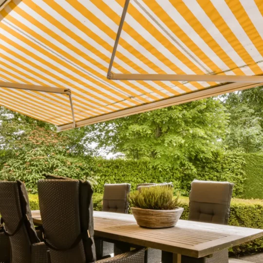 Sunlit Maximalism, The Bright Bold Look