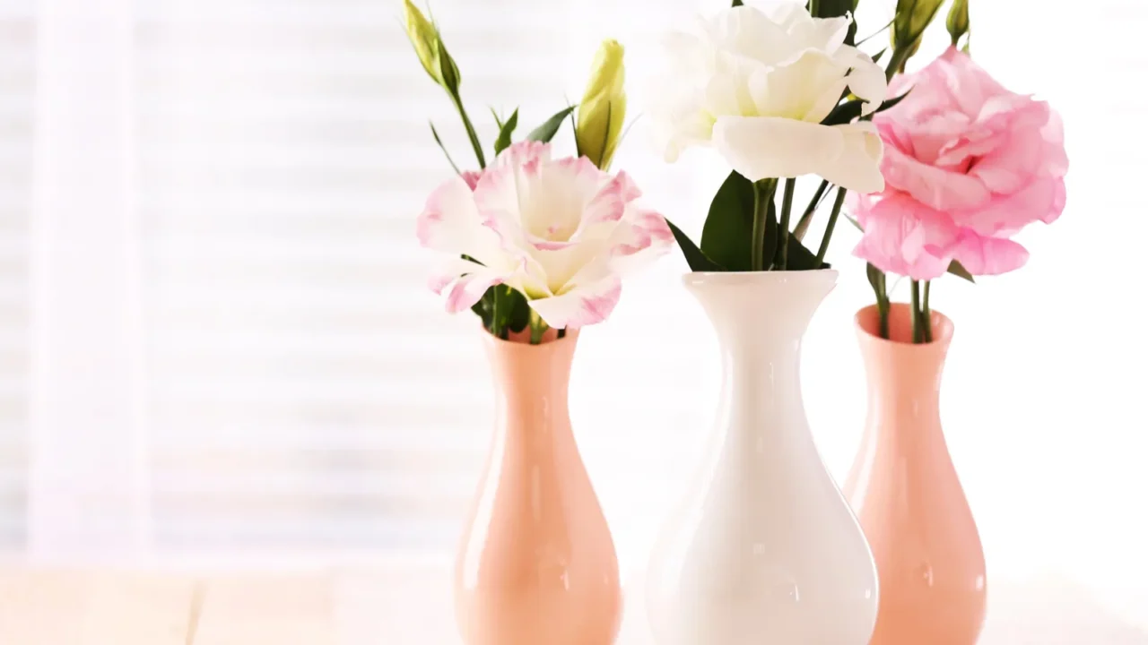 beautiful flowers in vases with light from window