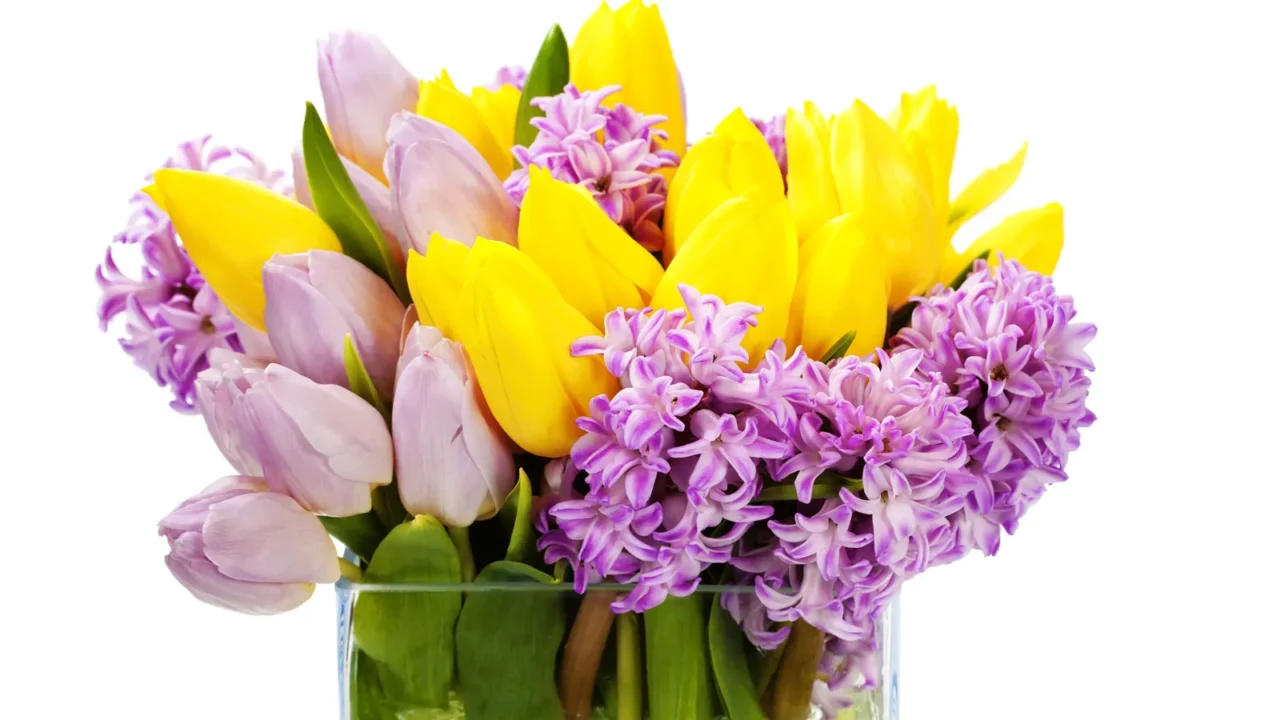 beautiful spring flowers