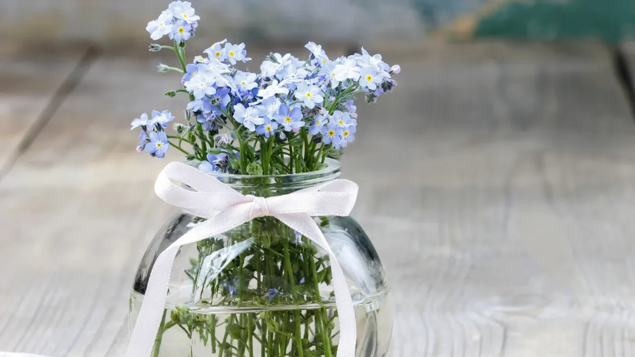 bouquet of forgetmenot flowers in glass vase