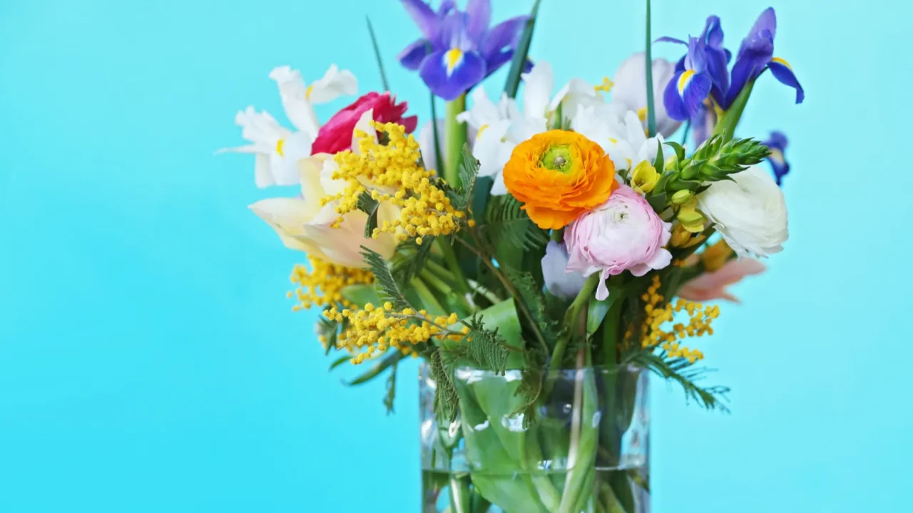 bouquet of fresh flowers in vase