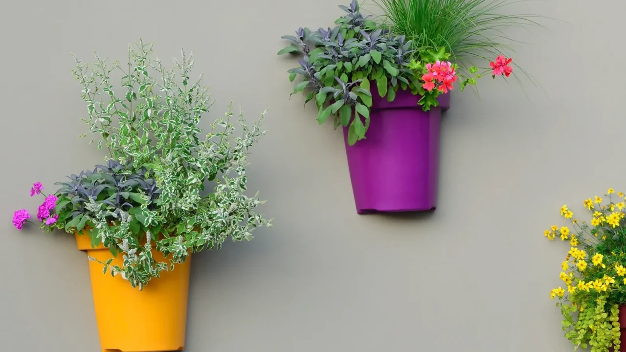 bright wall planters colorful flowerpots green fresh pineapple mint foliage