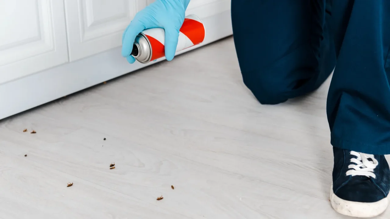 cropped view of exterminator in latex gloves holding toxic spray
