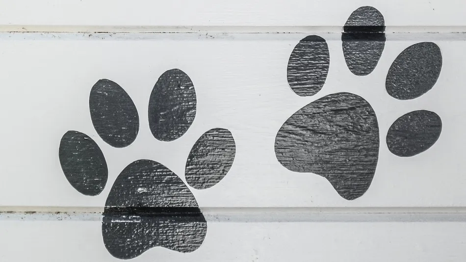 dogs welcome sign