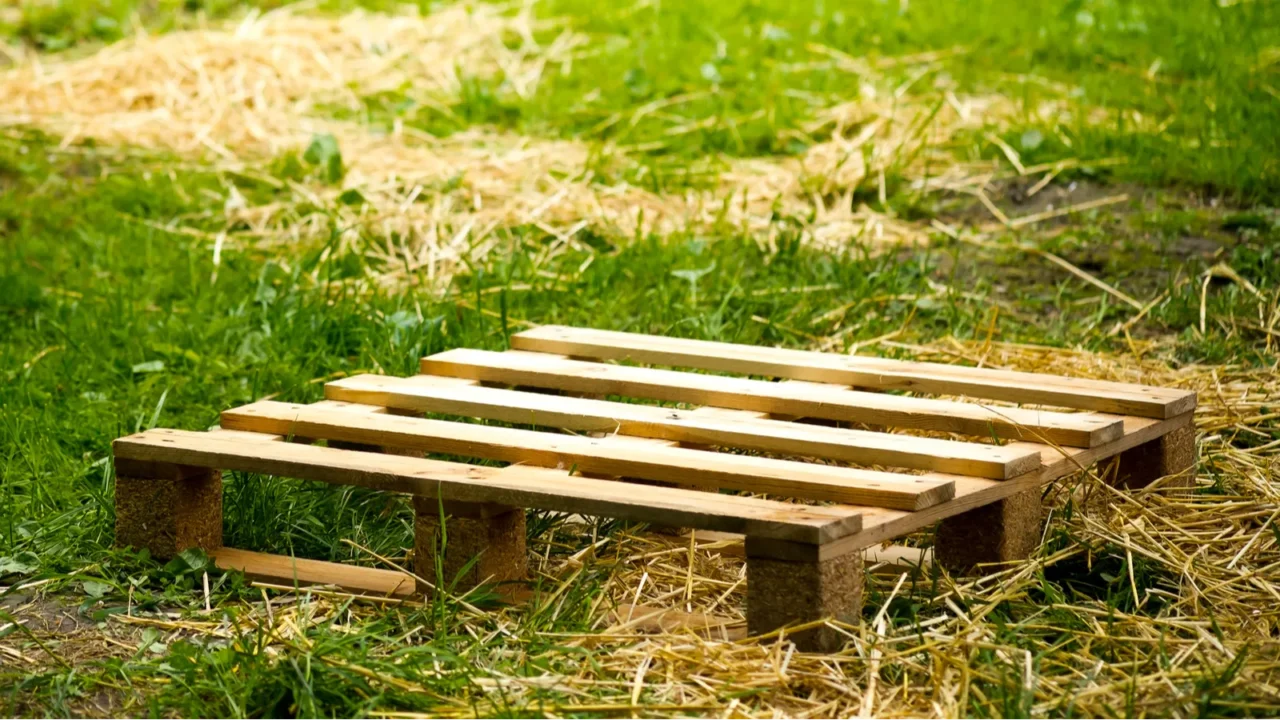 empty wooden pallets on green grass